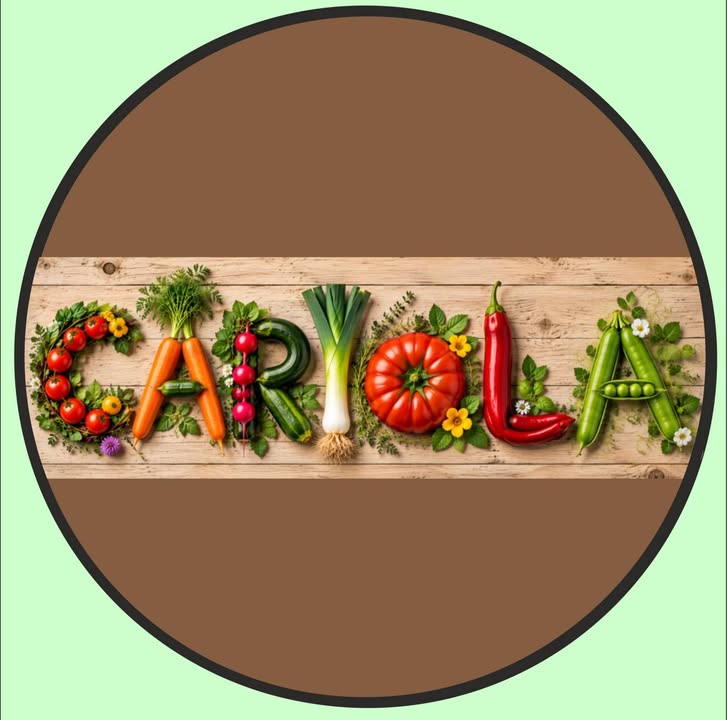 Photo by Verein Cariola